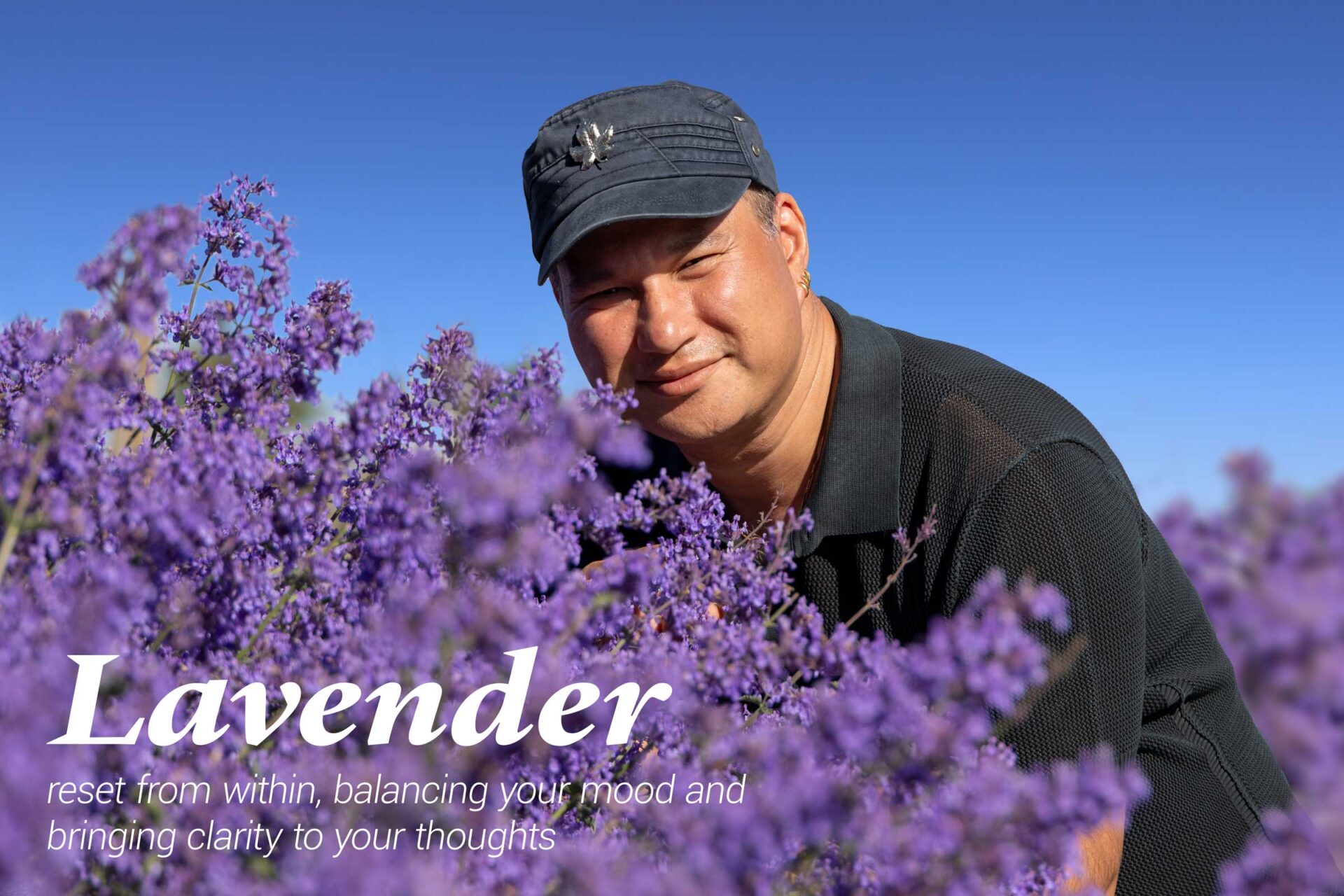 Lavender