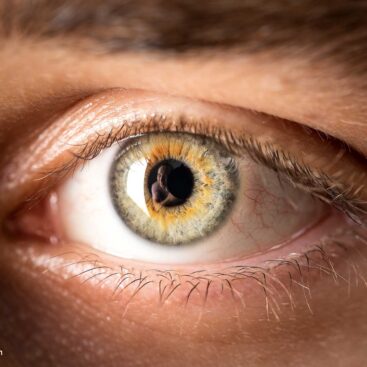 Self-Portrait in a Man's Eye